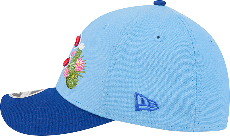Chicago Cubs New Era 2026 Spring Training M-Crown 39Thirty Player Replica Blue Flex Fit Hat Official Team Hat Sports Fan Cap Official MLB Team Hat