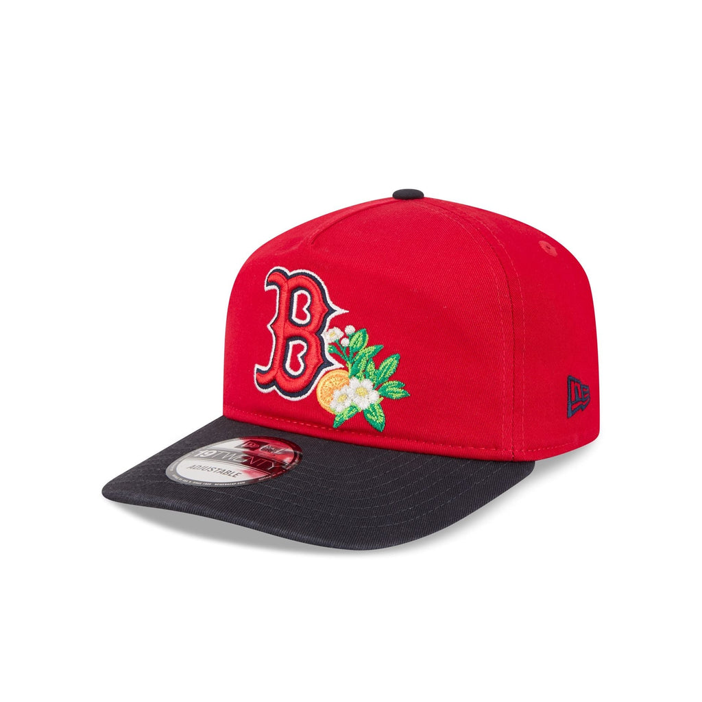 Boston Red Sox MLB 19Twenty Spring Training New Era Red Navy Official Team Hat Sports Fan Cap Official MLB Team Hat Baseball Fan Cap
