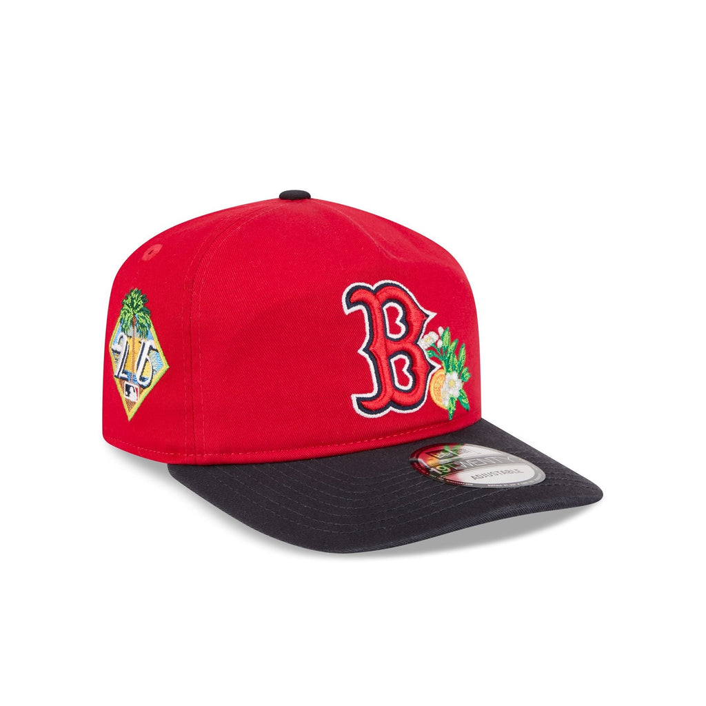 Boston Red Sox MLB 19Twenty Spring Training New Era Red Navy Official Team Hat Sports Fan Cap Official MLB Team Hat Baseball Fan Cap