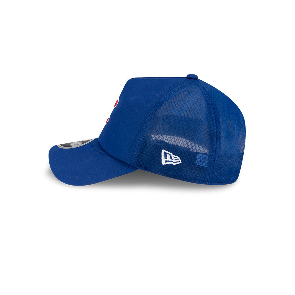 Chicago Cubs New Era 2026 Batting Practice 9Forty APEX C Logo Snap Adjustable Hat-Royal Official Team Hat Sports Fan Cap Official MLB Team Hat