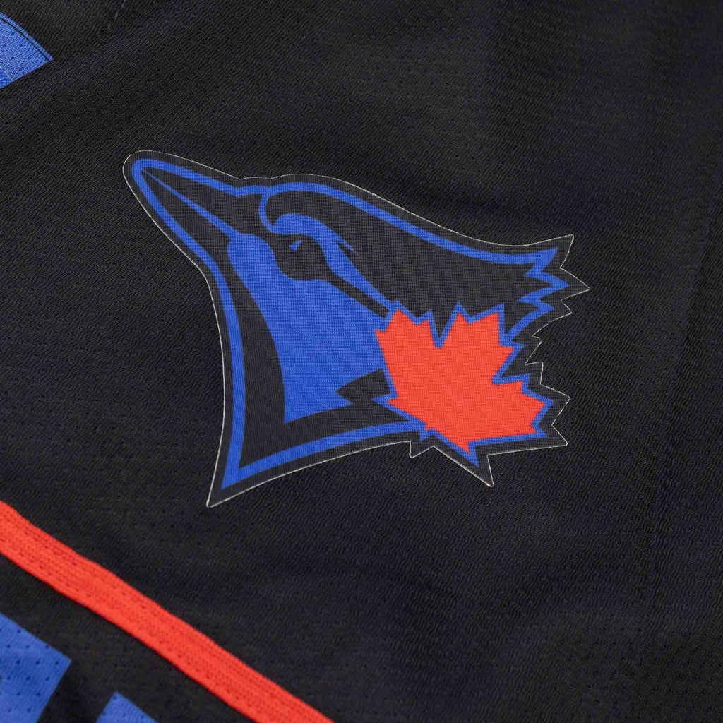 Toronto Blue Jays City Connect MLB Limited Jersey Nike Official Team Jersey Sports Fan Apparel Official MLB Team Jersey Baseball Fan Apparel