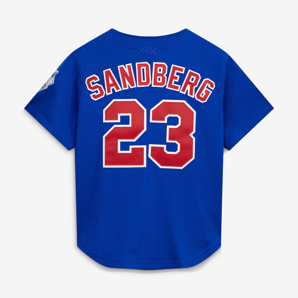 Mitchell And Ness Ryne Sandberg Chicago Cubs 1997 Authentic BP Button Down Jersey Official Team Jersey Sports Fan Apparel Official MLB Team Jersey