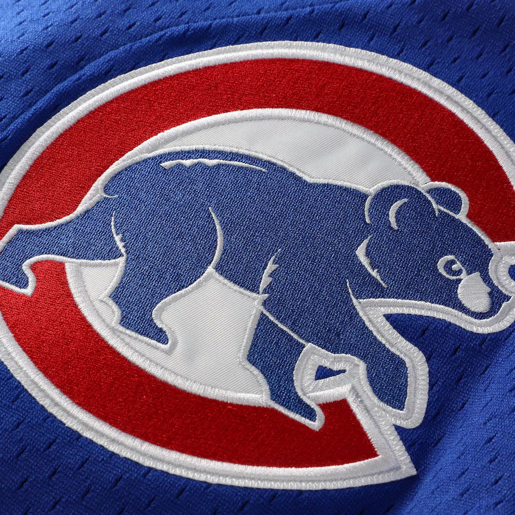 Mitchell And Ness Ryne Sandberg Chicago Cubs 1997 Authentic BP Button Down Jersey Official Team Jersey Sports Fan Apparel Official MLB Team Jersey