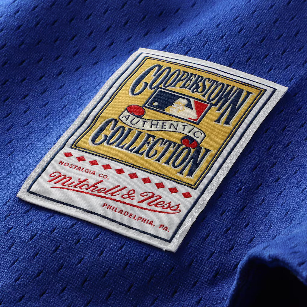 Mitchell And Ness Ryne Sandberg Chicago Cubs 1997 Authentic BP Button Down Jersey Official Team Jersey Sports Fan Apparel Official MLB Team Jersey