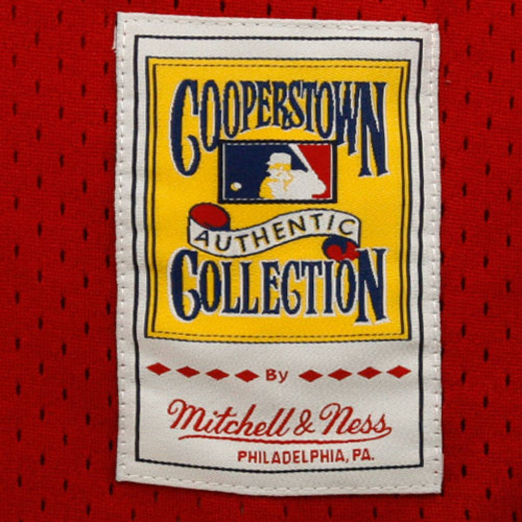 Men s Cincinnati Reds Johnny Bench Mitchell And Ness Red 1983 Authentic Cooperstown Collection Mesh Batting Practice Jersey Official Team Jersey